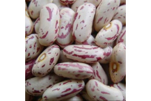 KAO6wGKdsHCVfYgEbKycMhUNjo9HyPgGx9TlfQhw