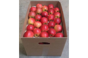 uzzO2qGk0PN72szGVIpefQZnY5wEfr4Or2WHlx8I