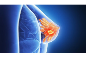 UhES21mHZ1xQ6XeSZnp6aDfRLEa0w9BRNm1qTdcD