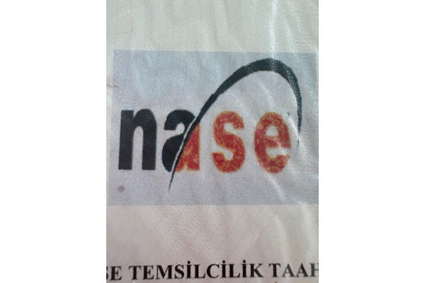 NASE CO LTD