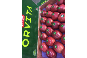 iOtnNs92mzKnCvrUEI3pat5ByDS7H1JFZLIByGQF