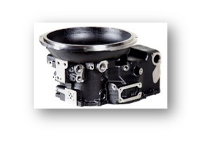 w4m6rwWzaQG7B7uZtXnXXH5Bwf0L1CgNbXDheNJU