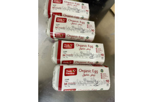 e847cmUssZteDbdco8xsC17EdWi8VZsuplnLXrbc