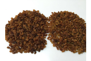 XjDSrR6cXPrSF9CjLW8VYIpNLMd106fDWIh1pMZp