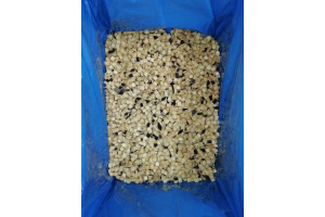 O2VGU0QP6qWJ9m8Acle1wP5zJgxeNOfaqs0K9R9B