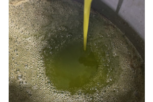 1aZgus2h8AiFqdvsjyn0TdBhO3XNhoFFfboFOJ93