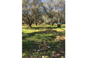 pmZRlxY8JpLQfAvR4mben8oRfCqBZRfrjg9sWvm2