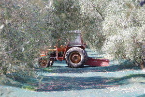 dNMcmpWxi91CWeKoK1f8b7t5AF5nfIqNFD4PQ1yn