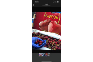 MZCZfXhcNqYrTcSBTRjhvEVs4IUnWIVeiQzYJtpj