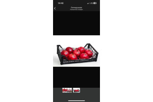 kMAapYnm84vay1PU89tCn8vStTY1tJJUtZmzh5Qv