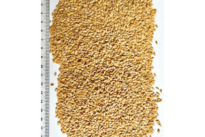 3VCgpEq7euLGNZzGY8q6xLcd2MhcMRi5GlSLZOdT