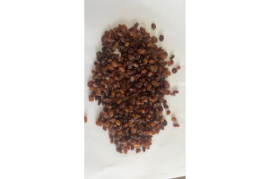 0Z3fhv8vnmLZmZO8har1Gs8zfq5LCZDX5XmVVvbd