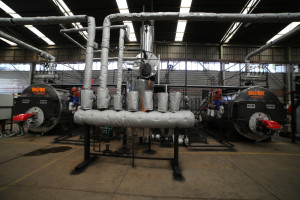 tfpZjPWGUv9LdDXhJLnlFyiwS12eohzxUUMTZOOw