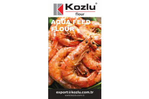 WefhwoxHWMuM8ETJFPwUG32wxWUxV0hrIaZn7DOE