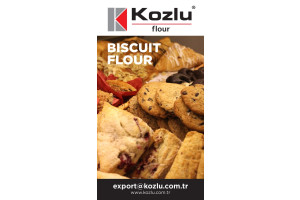 7EbJdlFBXwdOKOAO39MqtbFH8Gn2Tc2wRyT11erD