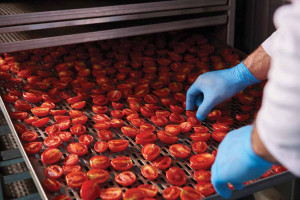 zqWDj34qvpxNKZzwcsbTjasgfgnCRavuNVd4lEyb