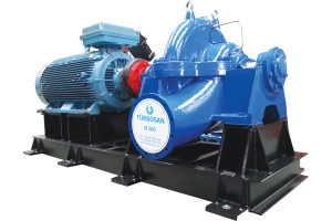 Nwa81xFGRHYuIoXzo66oMzkDLBCbpb3tsjXXTln9