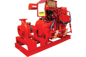 TMNcXwo2Hl3FVl7BvFd4dUC6Xg4DpMXEYFA8p9NO