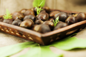 xmZYJN4s4IeQdmccTQl8Mjf0YjTobnLDahIoJlwD