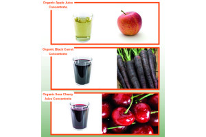 CYVSYS9hlg16wg0IdaOMh93xRPx9aqPR2IL9bs4S