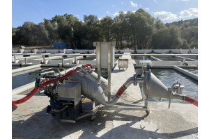 V5dJhXiC9PQQiK1zNRrh1vgIrmLXNEcWuuSI6vOC