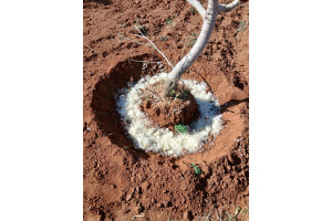 qRgMJ2Wo8jUyqwaw2jmkCQ6cuNGEmTXgBlVnLxJS