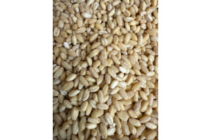 0qUY3hzotMOAcDdMI9Yix1vCOTi6FP6Jed89I5XJ