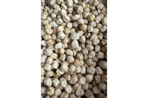 4RLxKINM14WpKGOUTa2n1NylJwVf06UbCqX93NgP