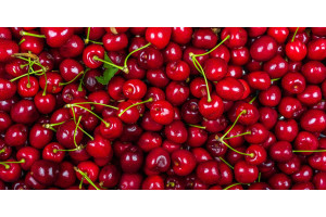 qaq1HzdXMKjkrogOWKb6eFZ1TRfAORVEXcmS9SOj