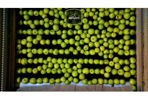 humPGVUZK08yoNbuApBjNlFzVp5LNUm1XqRAdbve