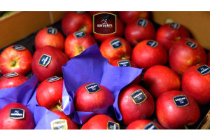 AmIybtAlywgc3953kAIm59v3CF4rjBZBkMQDILhM