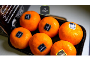 RuUHjUY2M8QP6vwCZ5TlOwFq9B7yOjWXyc46x9to