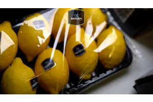 YhENuT0cnbZl59JJJ74ZCwOjt0CNFIoSG6Lm000b