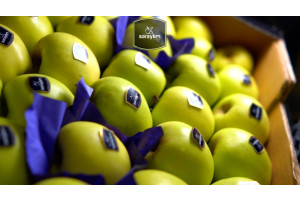 na4VdprrYt1n1h2vVbhCafsUEMiOXXQLUe7vZ01I