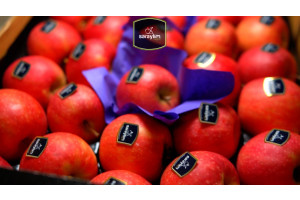 KZrJpKLWAZVTzQDlpoPJBtQd5i9OLsXe1h8ac5wf