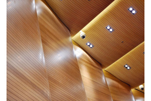 yfeEkC5qzNB8sCBsUm9lBue78iaonzG8XEQVDdZL