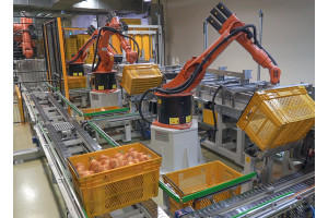 4vzr9kma4X5Qt1JVJTLCfmiYnhRkc1LkhroTCLeM