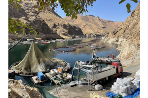 qdoaHYsPjI36WiK3KBdEcUUyUO69ZnOeKUTl3N7Q