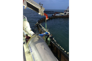 y9uQAAgguo0jt0pwQHwDdTzp0ep5gGS6o8auHRg5