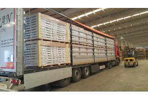 OvUsZ1eUV93qdf0wMxGNy9aNMm7avoY2fjv67etR