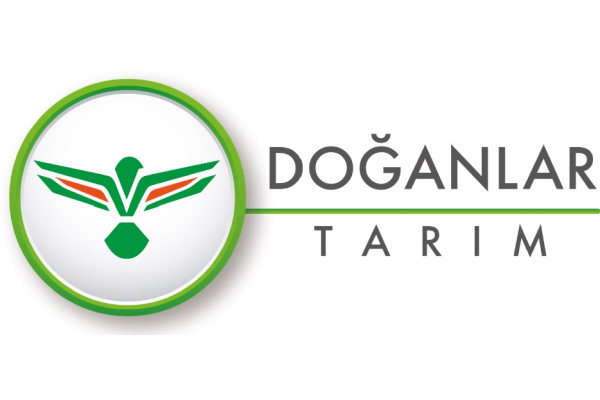 DOĞANLAR